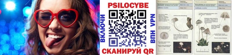 цена наркотик  ссылка на мегу ТОР  Псилоцибиновые грибы MAGIC MUSHROOMS  Кировград 